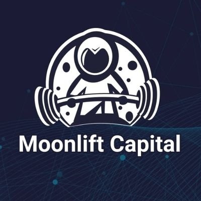 MoonLift Capital (MLTPX) logo