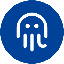 Octopus Network (OCT) logo