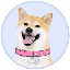 DogeGF (DOGEGF) logo