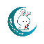 Little Bunny Rocket (LBR) logo