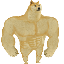 Swole Doge (SWOLE) logo