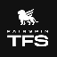 TFS Token (TFS) logo