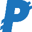 PayNet Coin (PAYN) logo