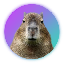 Capybara (CAPY) logo