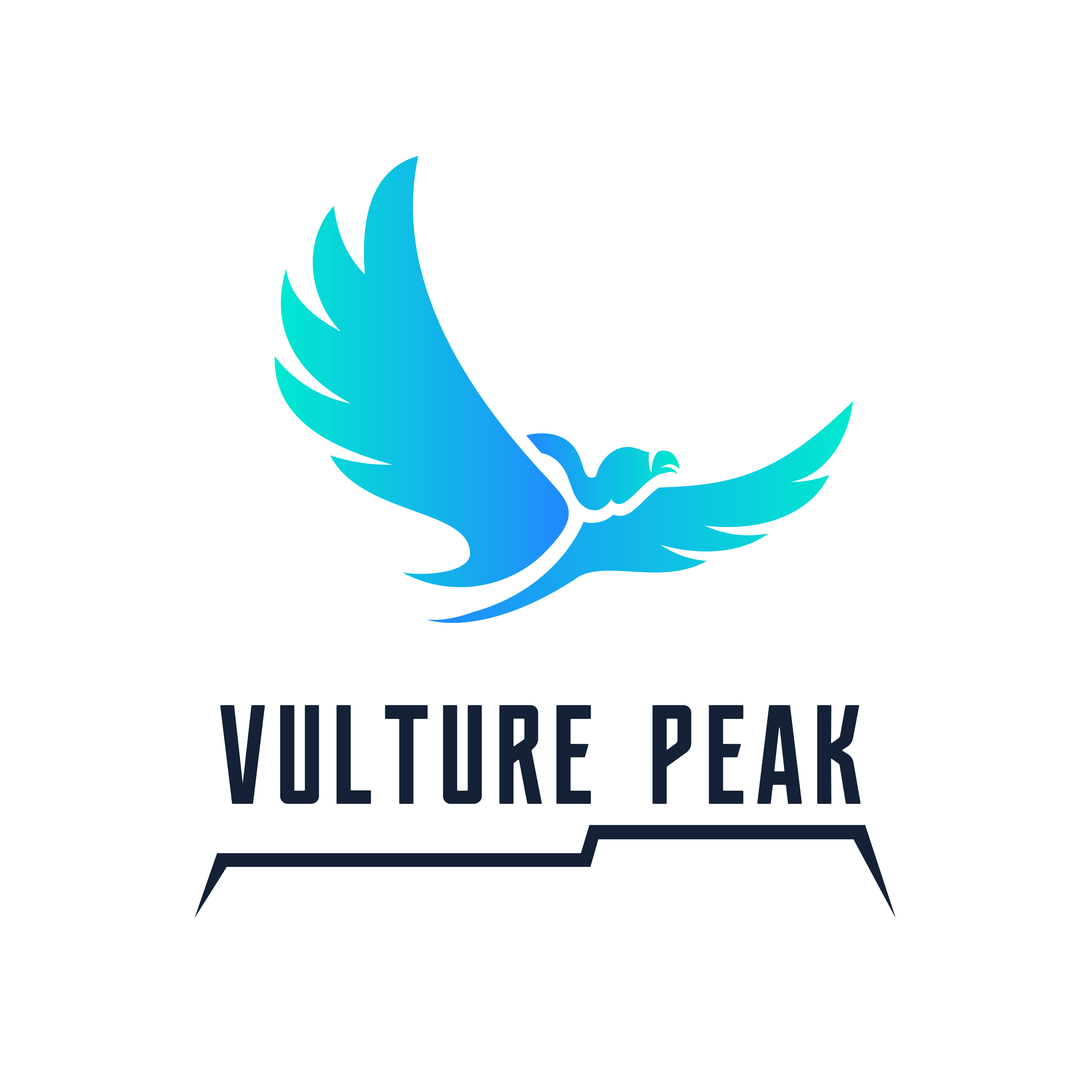 Vulture Peak (VPK) logo