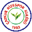 Rizespor Token (RIZE) logo