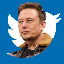 ELON BUYS TWITTER (EBT) logo