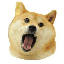 Doge Eat Doge (OMNOM) logo