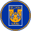 Tigres Fan Token (TIGRES) logo