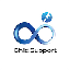 Child Support (CS) logo