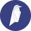 Ravencoin (RVN) logo