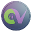 CV TOKEN (CVT) logo