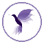 Hummingbird Finance (New) (HMNG) logo