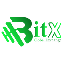 BitX Exchange (BITX) logo