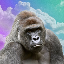 Harambe on Solana (HARAMBE) logo