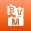 Bitcoin Virtual Machine (BVM) logo