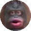 Monkecoin (MONKE) logo