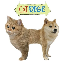 CAT DOGE (CATDOGE) logo