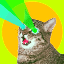 Bitcoin Cat (BTCAT) logo