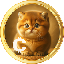 Baby Cat Coin (BABYCAT) logo