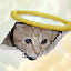 CEILING CAT (CEICAT) logo