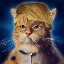 TRUMP CAT (TRUMPCAT) logo