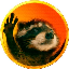 Pedro The Raccoon (PEDRO) logo