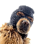 Ski Mask Dog (SKI) logo