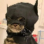 batcat (BTC) logo