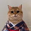 Cat Own Kimono (COK) logo