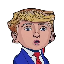 Mini Donald (BARRON) logo