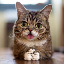 LIL BUB (BUB) logo