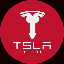 TSLA6900 (TSLA) logo