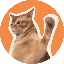 CatSlap (SLAP) logo