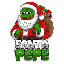 Santa Pepe (SPEPE) logo